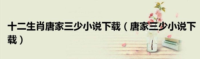 十二生肖唐家三少小说下载(唐家三少小说下载)