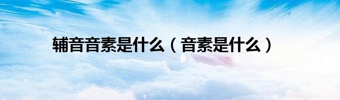 辅音音素是什么(音素是什么)