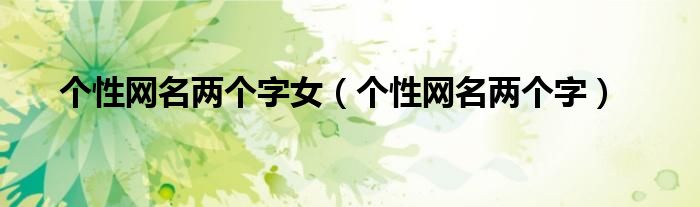 个性网名两个字女(个性网名两个字)