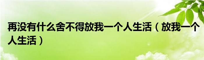 再没有什么舍不得放我一个人生活(放我一个人生活)