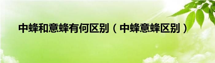 中蜂和意蜂有何区别(中蜂意蜂区别)
