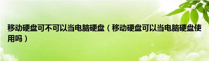 移动硬盘可不可以当电脑硬盘(移动硬盘可以当电脑硬盘使用吗)