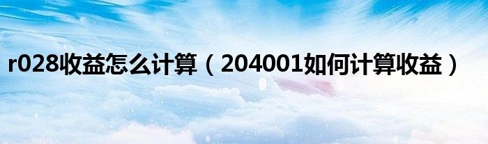 r028收益怎么计算(204001如何计算收益)