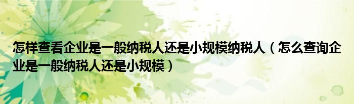 怎样查看企业是一般纳税人还是小规模纳税人(怎么查询企业是一般纳税人还是小规模)