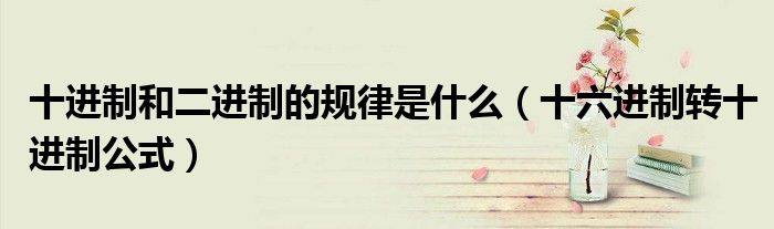 十进制和二进制的规律是什么(十六进制转十进制公式)