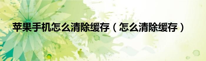 苹果手机怎么清除缓存(怎么清除缓存)