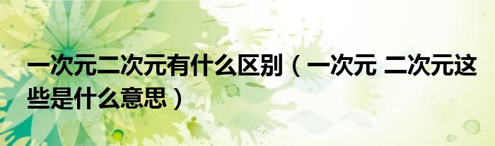 一次元二次元有什么区别(一次元 二次元这些是什么意思)