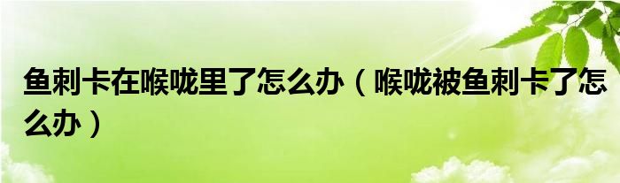 鱼刺卡在喉咙里了怎么办(喉咙被鱼刺卡了怎么办)