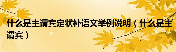什么是主谓宾定状补语文举例说明(什么是主谓宾)
