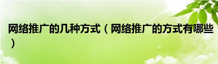 网络推广的几种方式(网络推广的方式有哪些)