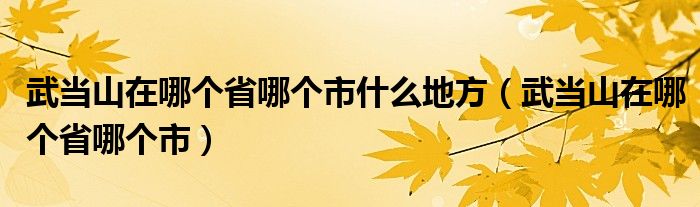 武当山在哪个省哪个市什么地方(武当山在哪个省哪个市)