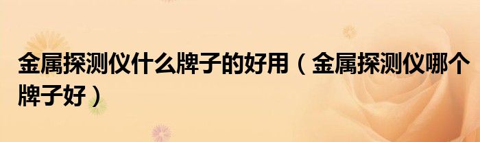 金属探测仪什么牌子的好用(金属探测仪哪个牌子好)