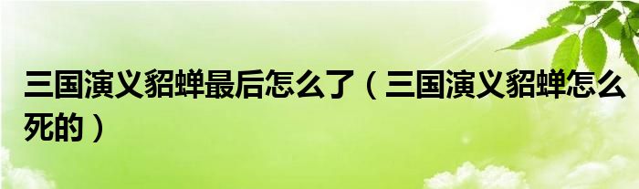 三国演义貂蝉最后怎么了(三国演义貂蝉怎么死的)
