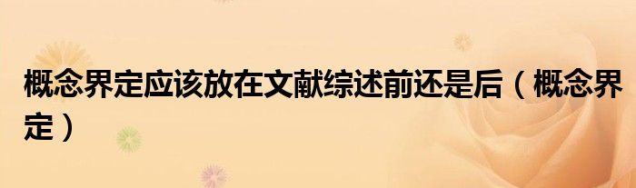 概念界定应该放在文献综述前还是后(概念界定)
