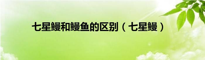 七星鳗和鳗鱼的区别(七星鳗)