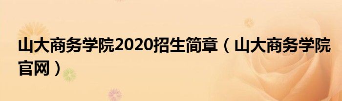 山大商务学院2020招生简章(山大商务学院官网)