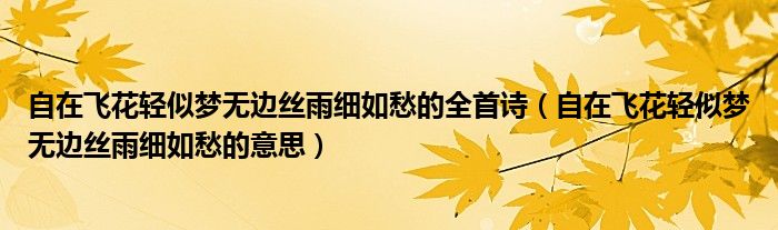 自在飞花轻似梦无边丝雨细如愁的全首诗(自在飞花轻似梦无边丝雨细如愁的意思)