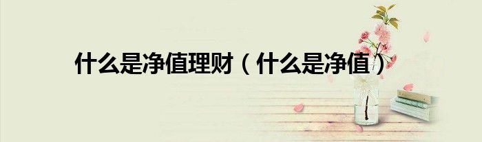 什么是净值理财(什么是净值)
