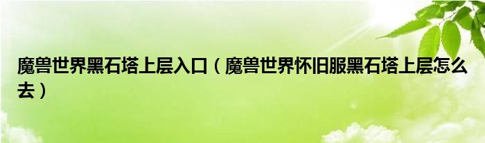 魔兽世界黑石塔上层入口(魔兽世界怀旧服黑石塔上层怎么去)