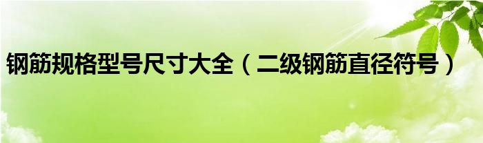 钢筋规格型号尺寸大全(二级钢筋直径符号)