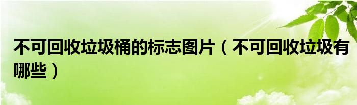 不可回收垃圾桶的标志图片(不可回收垃圾有哪些)