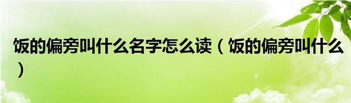 饭的偏旁叫什么名字怎么读(饭的偏旁叫什么)