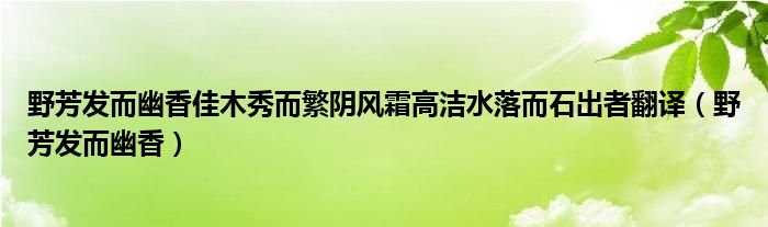 野芳发而幽香佳木秀而繁阴风霜高洁水落而石出者翻译(野芳发而幽香)