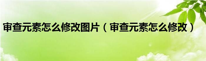 审查元素怎么修改图片(审查元素怎么修改)