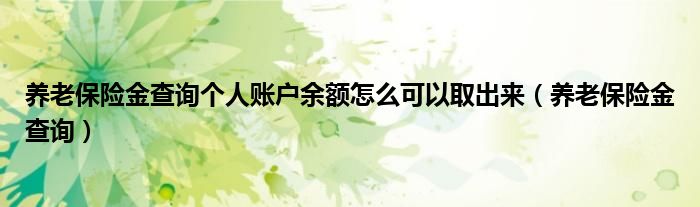 养老保险金查询个人账户余额怎么可以取出来(养老保险金查询)
