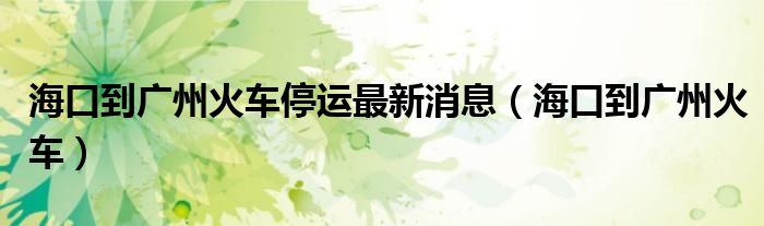海口到广州火车停运最新消息(海口到广州火车)