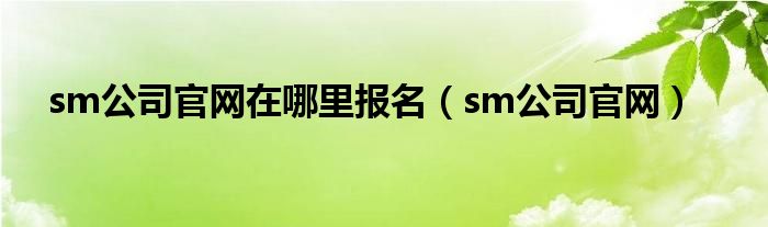 sm公司官网在哪里报名(sm公司官网)