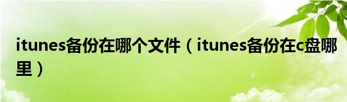 itunes备份在哪个文件(itunes备份在c盘哪里)