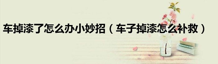 车掉漆了怎么办小妙招(车子掉漆怎么补救)