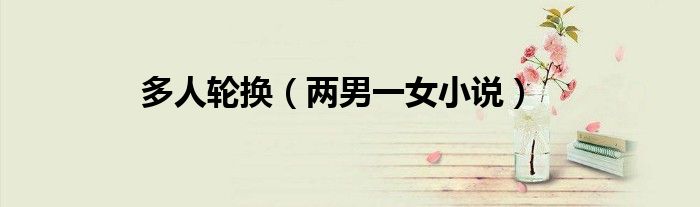 多人轮换（两男一女小说）