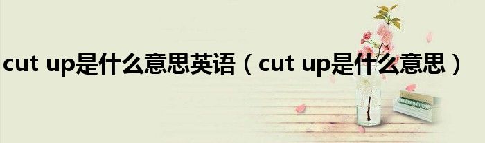 cut up是什么意思英语(cut up是什么意思)