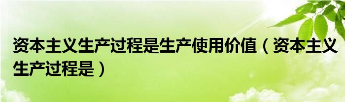 资本主义生产过程是生产使用价值(资本主义生产过程是)