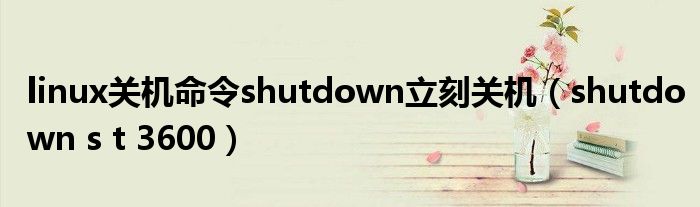 linux关机命令shutdown立刻关机（shutdown s t 3600）