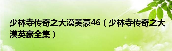 少林寺传奇之大漠英豪46（少林寺传奇之大漠英豪全集）