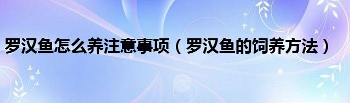 罗汉鱼怎么养注意事项(罗汉鱼的饲养方法)