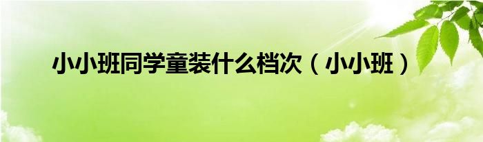 小小班同学童装什么档次(小小班)