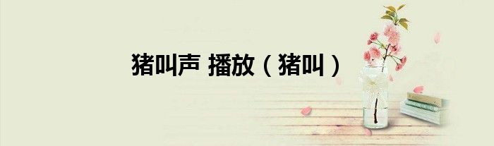 猪叫声 播放(猪叫)