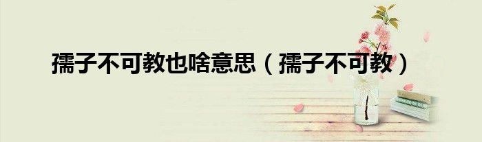 孺子不可教也啥意思(孺子不可教)