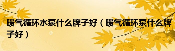暖气循环水泵什么牌子好(暖气循环泵什么牌子好)