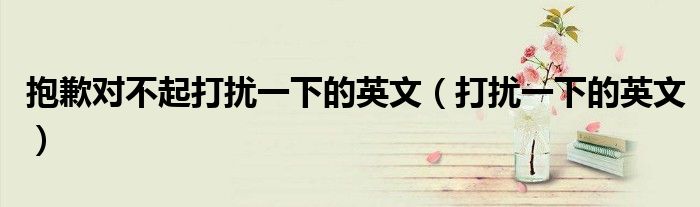 抱歉对不起打扰一下的英文(打扰一下的英文)