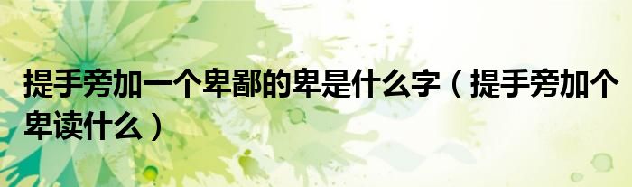 提手旁加一个卑鄙的卑是什么字(提手旁加个卑读什么)