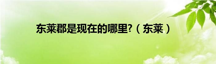 东莱郡是现在的哪里?(东莱)