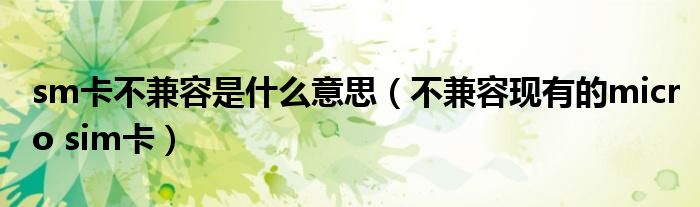 sm卡不兼容是什么意思(不兼容现有的micro sim卡)