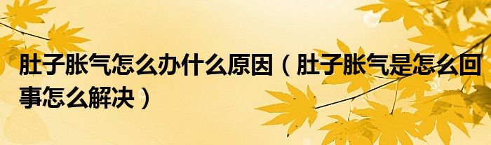 肚子胀气怎么办什么原因(肚子胀气是怎么回事怎么解决)