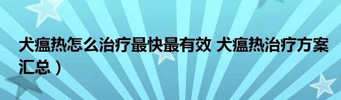 犬瘟热怎么治疗最快最有效 犬瘟热治疗方案汇总)