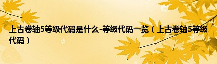 上古卷轴5等级代码是什么-等级代码一览(上古卷轴5等级代码)